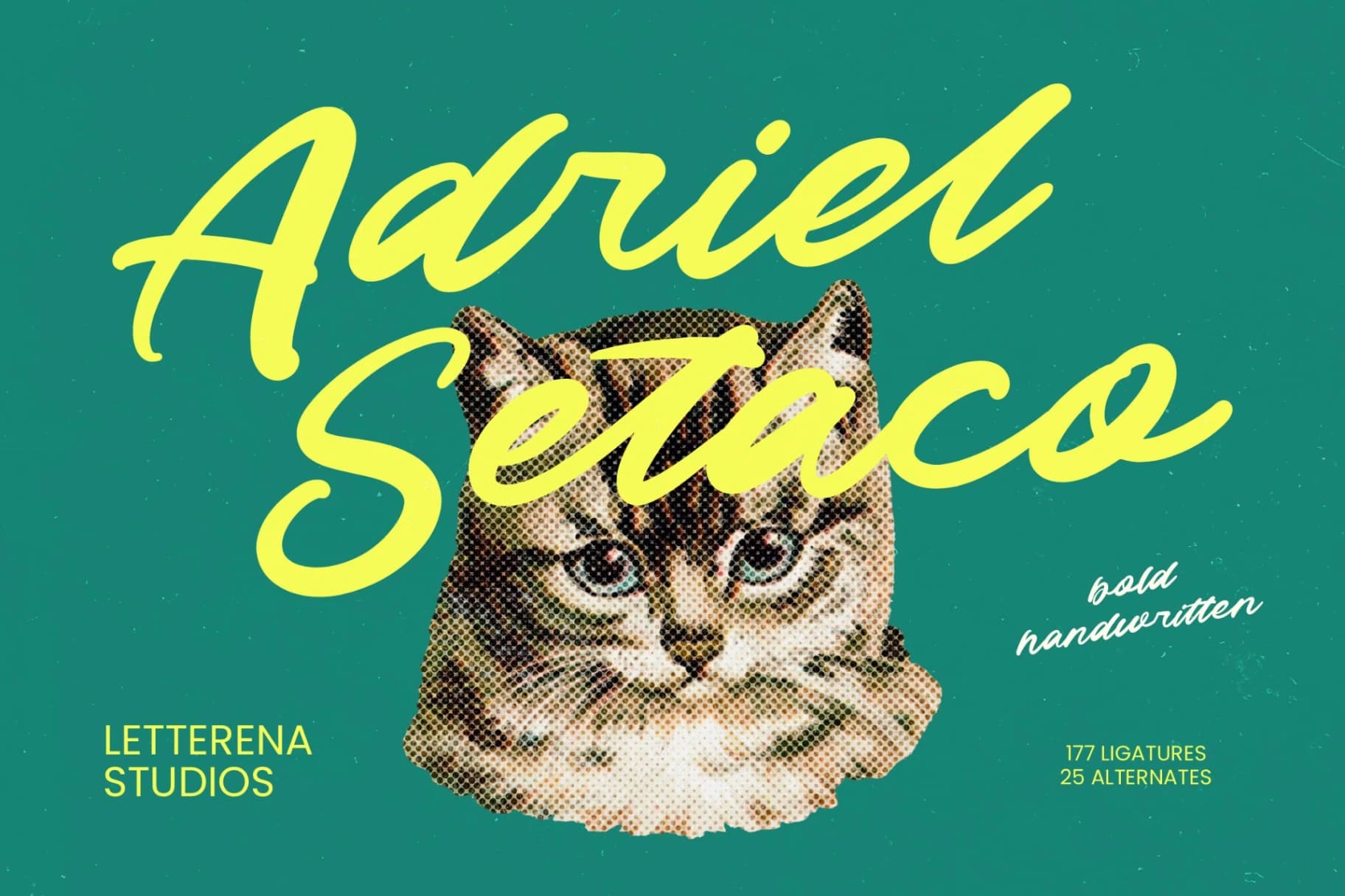 Preview of Adriel Setaco - Bold Handwritten font