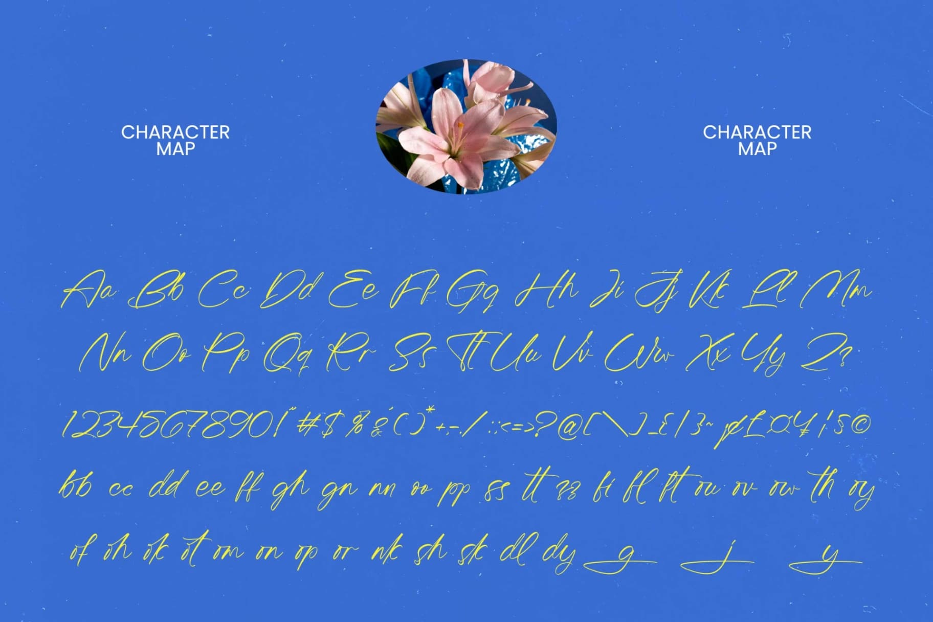 Preview 9 for Tomyhesa - Modern Handwritten