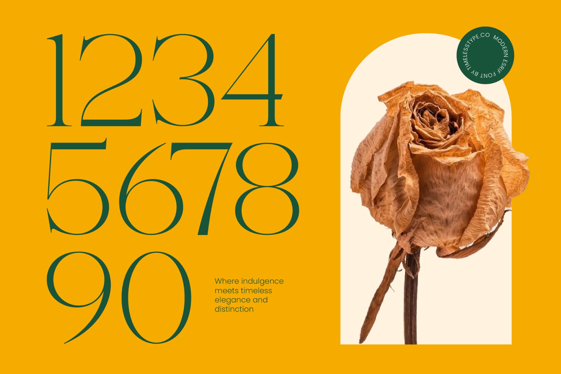 Preview 9 for Cednight - High-Contrast Modern Serif
