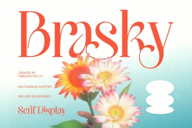 Brasky – Modern Serif Display