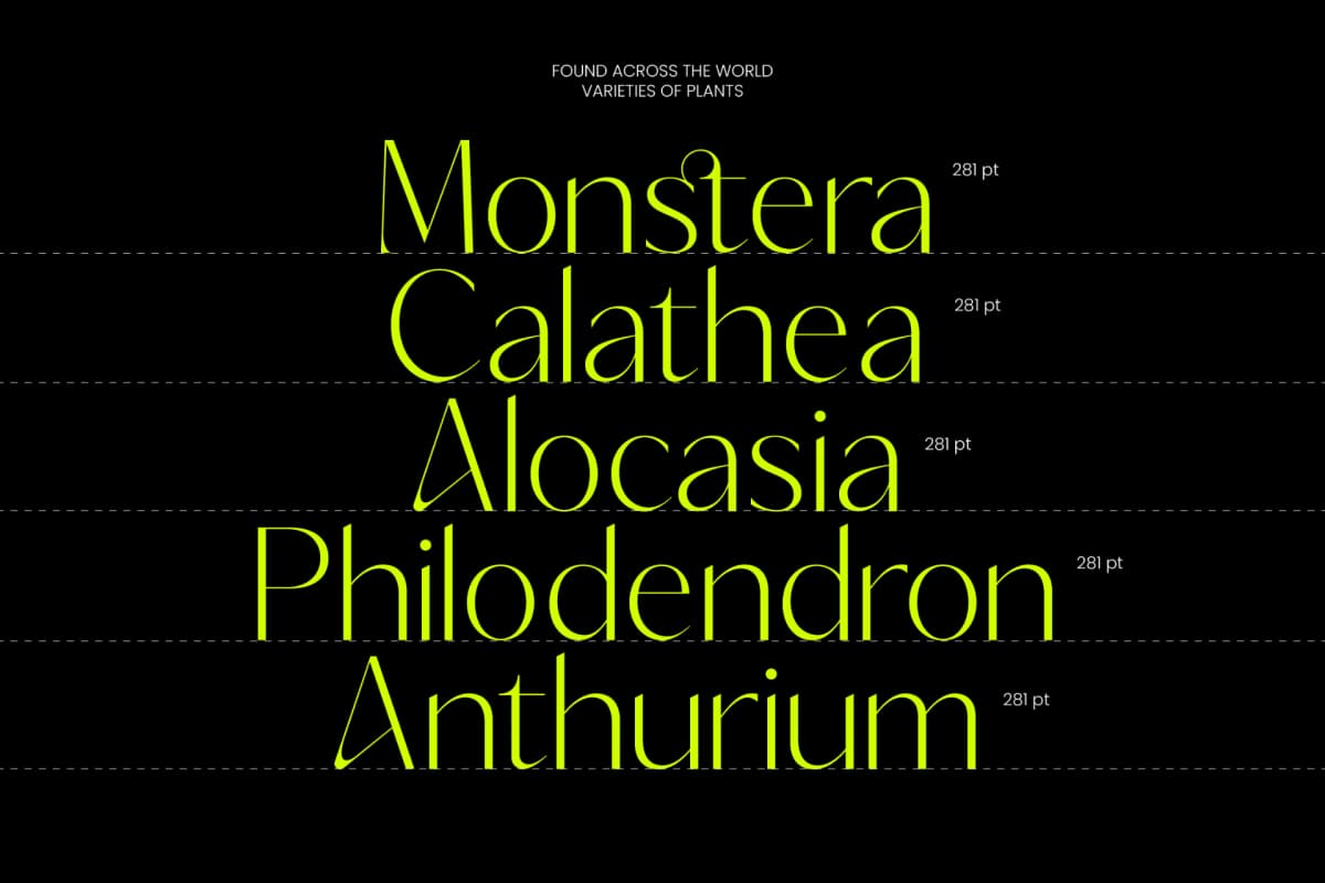 Silence Night – Elegant Sans Serif Font font preview 6