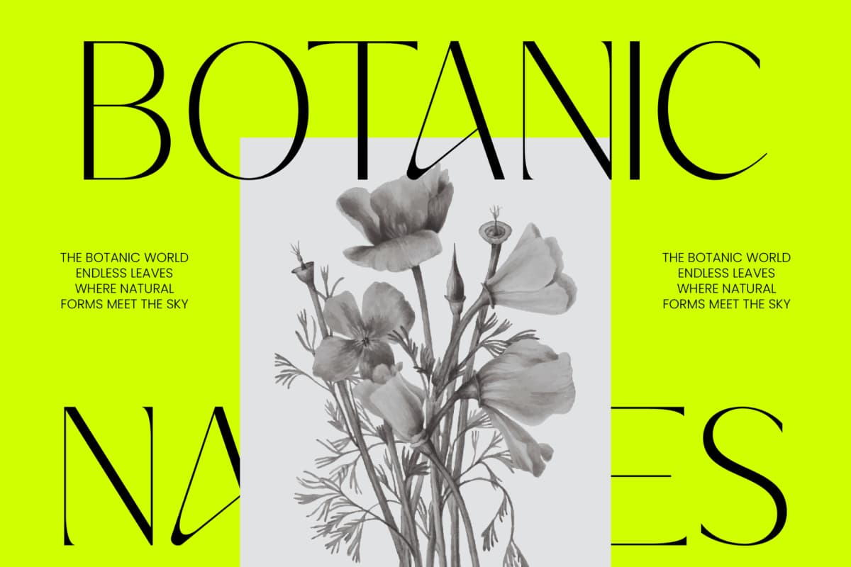Silence Night – Elegant Sans Serif Font font preview 4