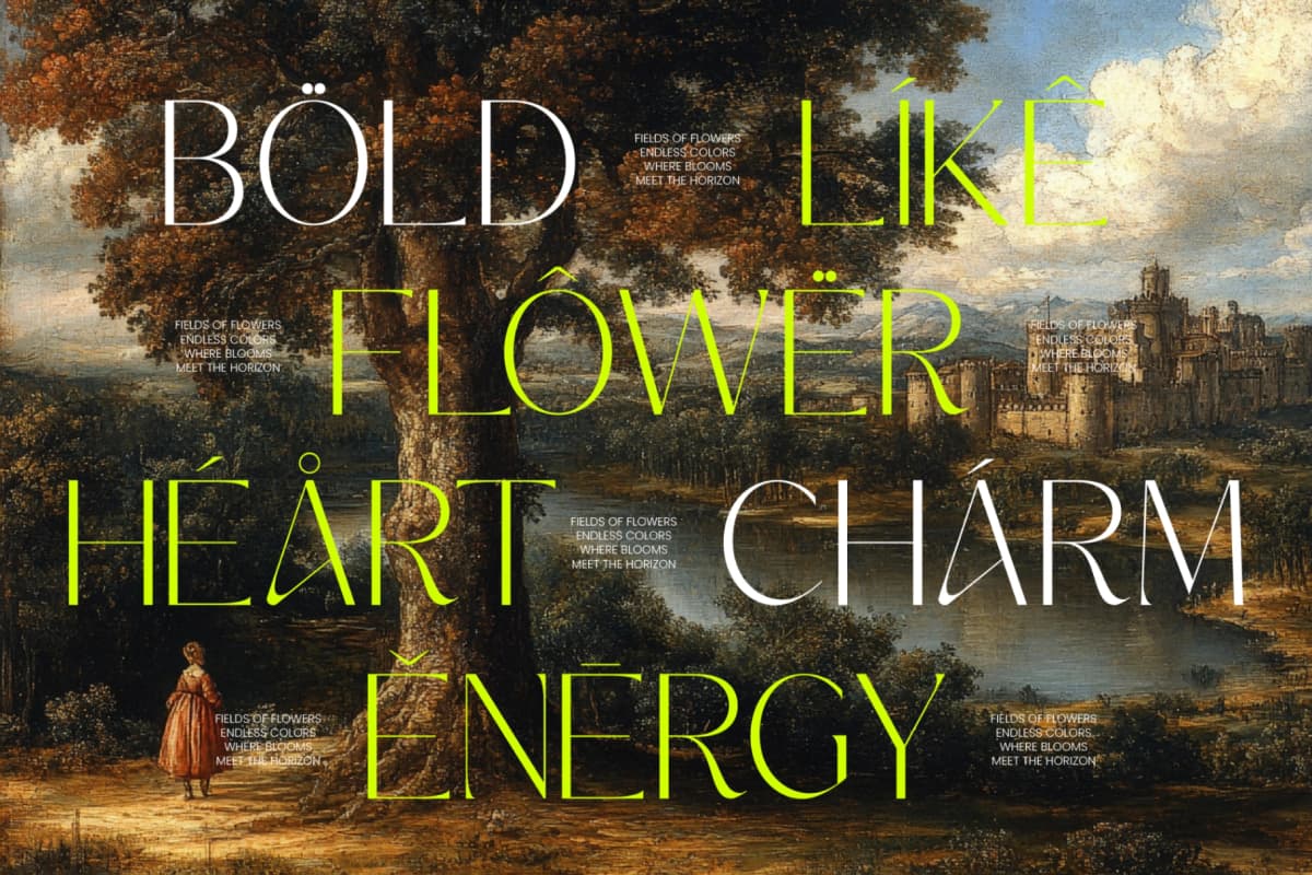 Silence Night – Elegant Sans Serif Font font preview 3