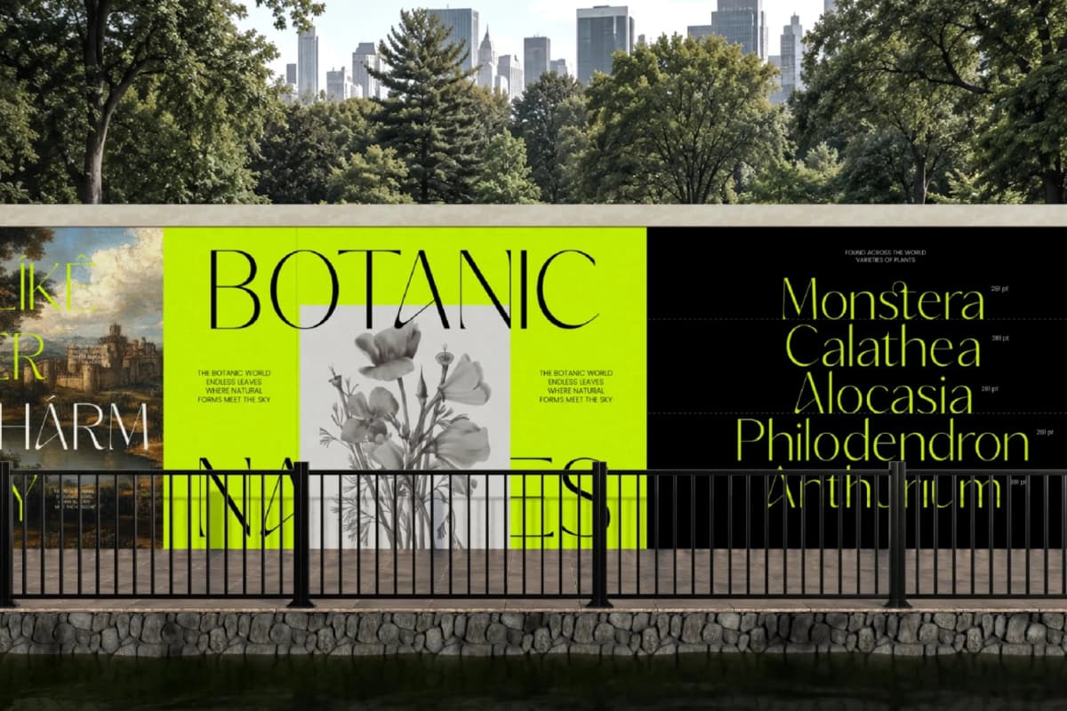 Silence Night – Elegant Sans Serif Font font preview 8