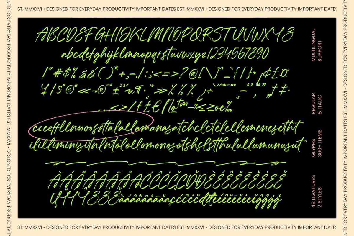 Chastel Reid - Modern Handwritten Script font preview 10
